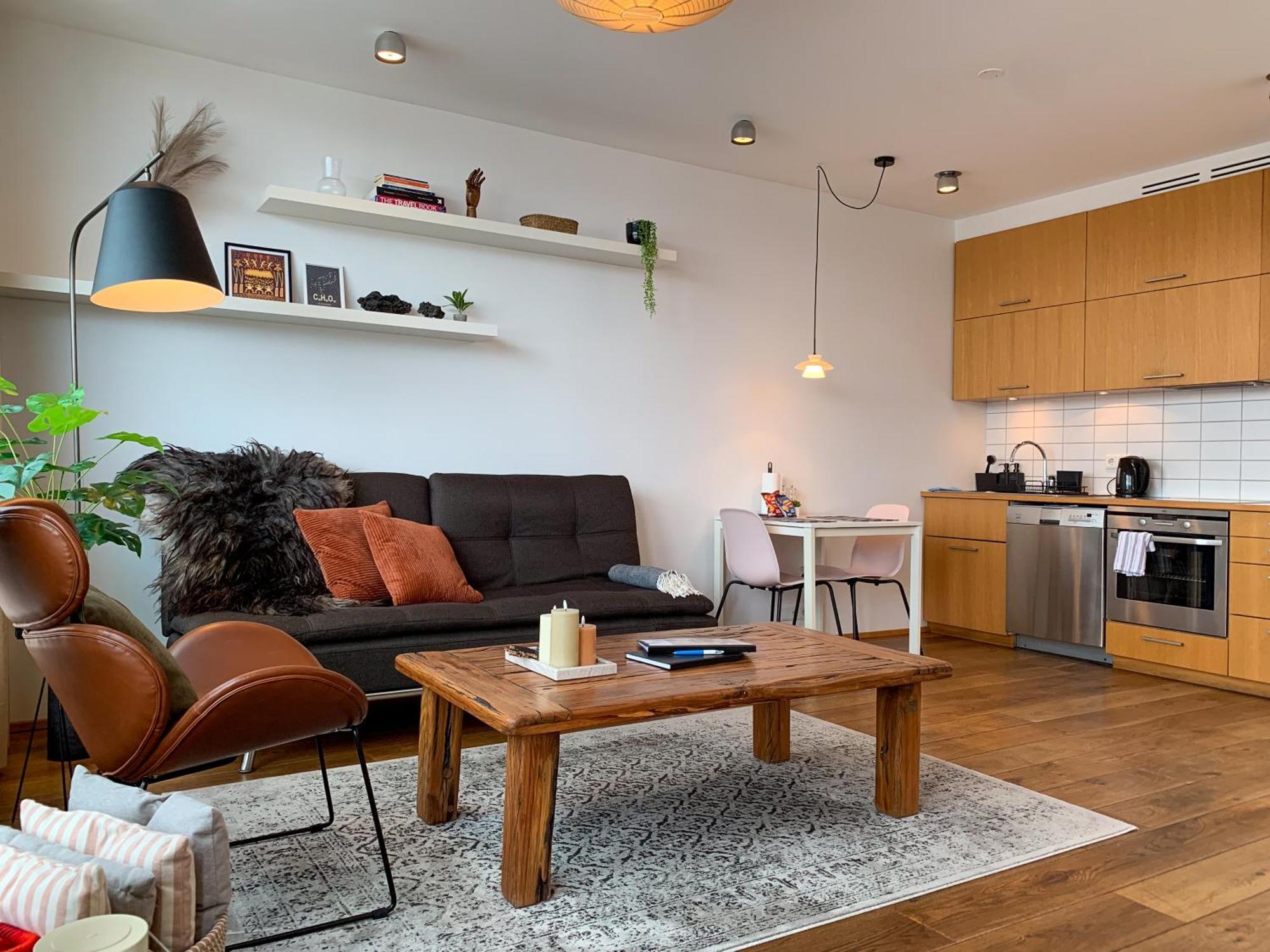 Laugavegur Penthouse Apartment Reykjavik Exterior photo
